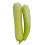 Bottle Gourd