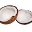 Noix de Cocos nucifera