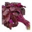 amaranth-leaves-500x500