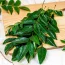 curry-leaves-1-bunch-approx-20-g-100-g-product-images-o590000117-p590000117-0-202409171907