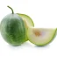 winter-melon-isolated-on-white-600nw-710016922
